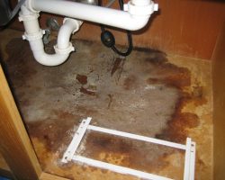 water-mold-problem-kitchen-sink-leak